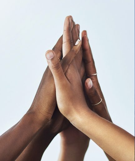 New Bridge Capital Incorporates Sustainability Intrinsically