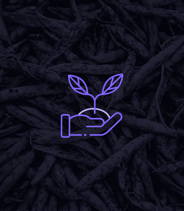 Sustainable Future of Food, rize etf, New Bridge Capital Invest europe, sustainable