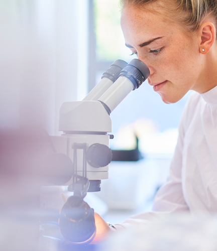 Institutional investor, investment solution, New Bridge Capital Invest, sustainable investing